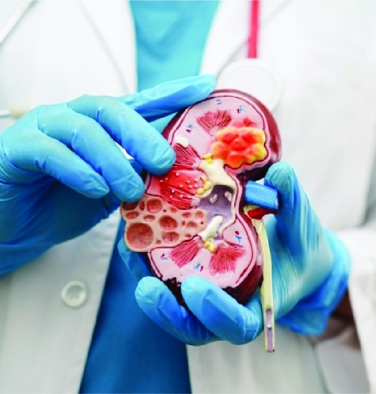 Top urologist in Kolkata