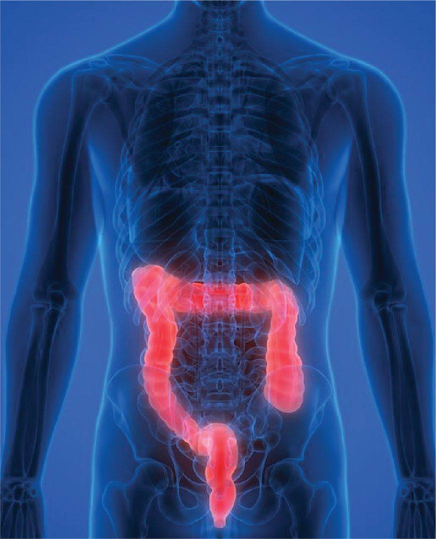 Certified urology care in Kolkata